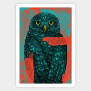 Owl Illustration Sticker